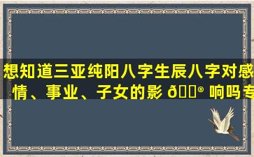 想知道三亚纯阳八字生辰八字对感情、事业、子女的影 💮 响吗专业详批为你解答！